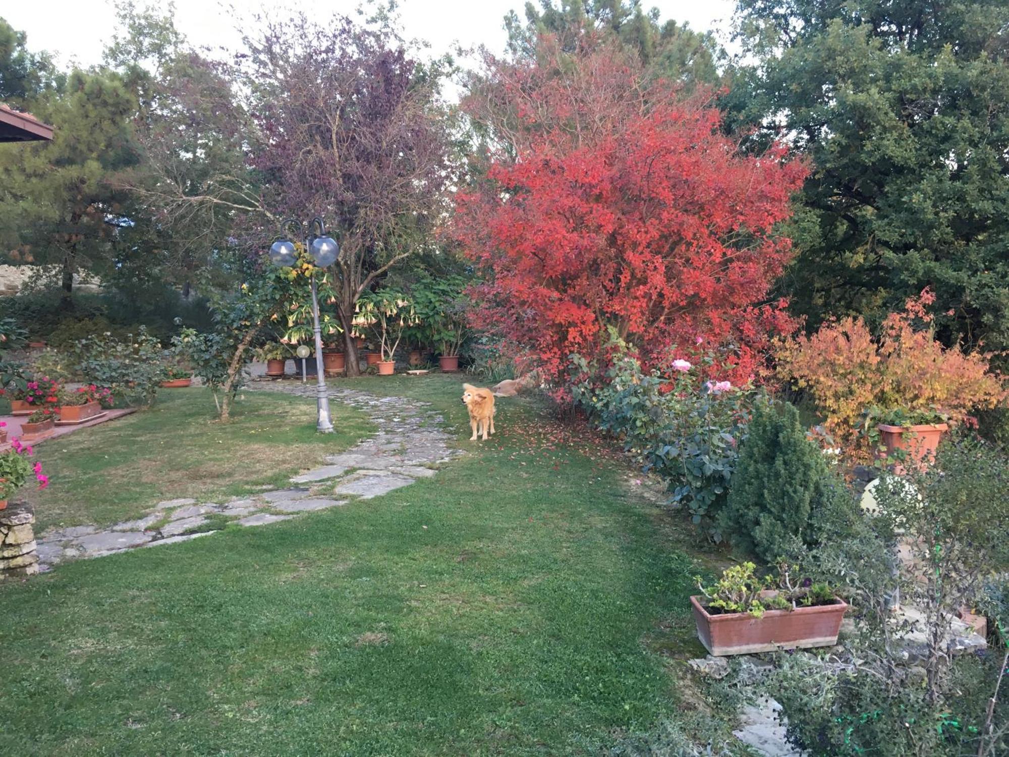 Villaspino 카폴로나 외부 사진