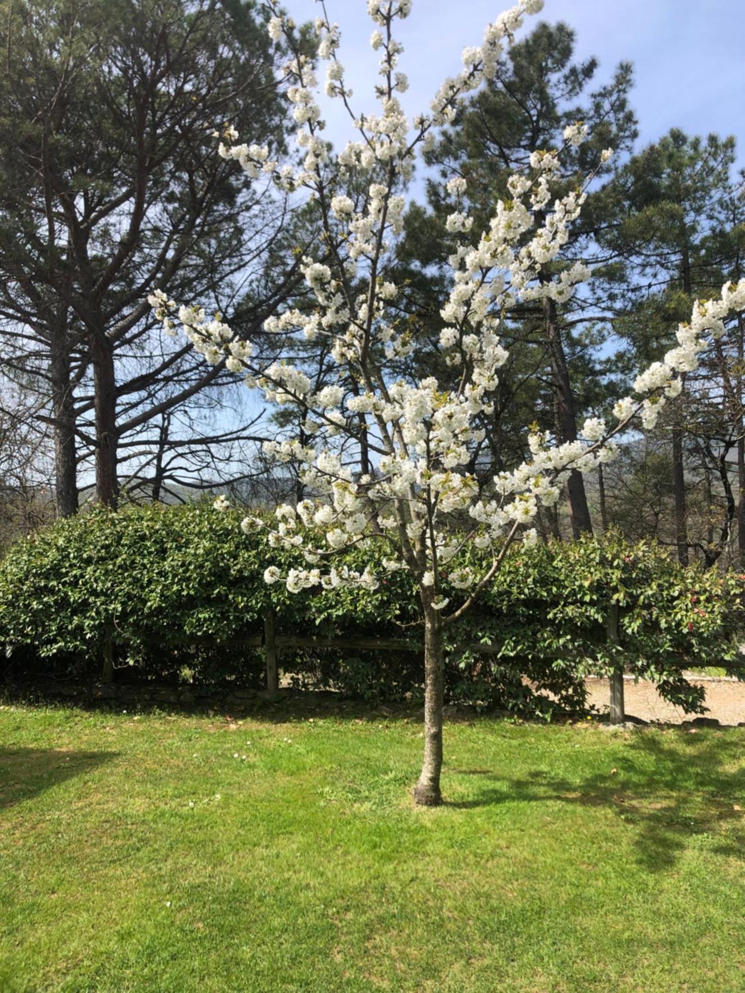 Villaspino 카폴로나 외부 사진